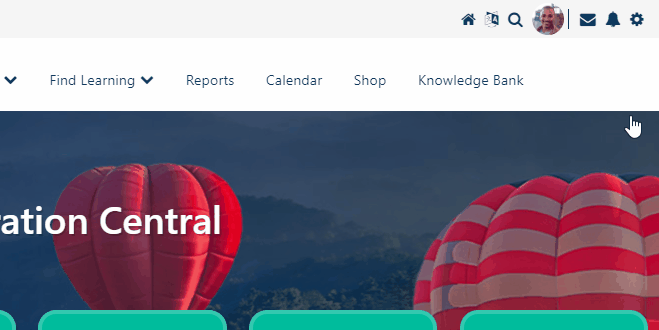 User report - Admin menu.gif